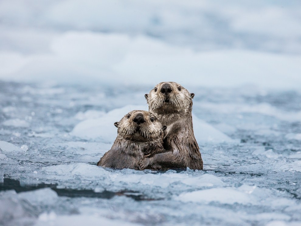 National Geographic: лучшие фотографии декабря National Geographic: лучшие фотографии декабря