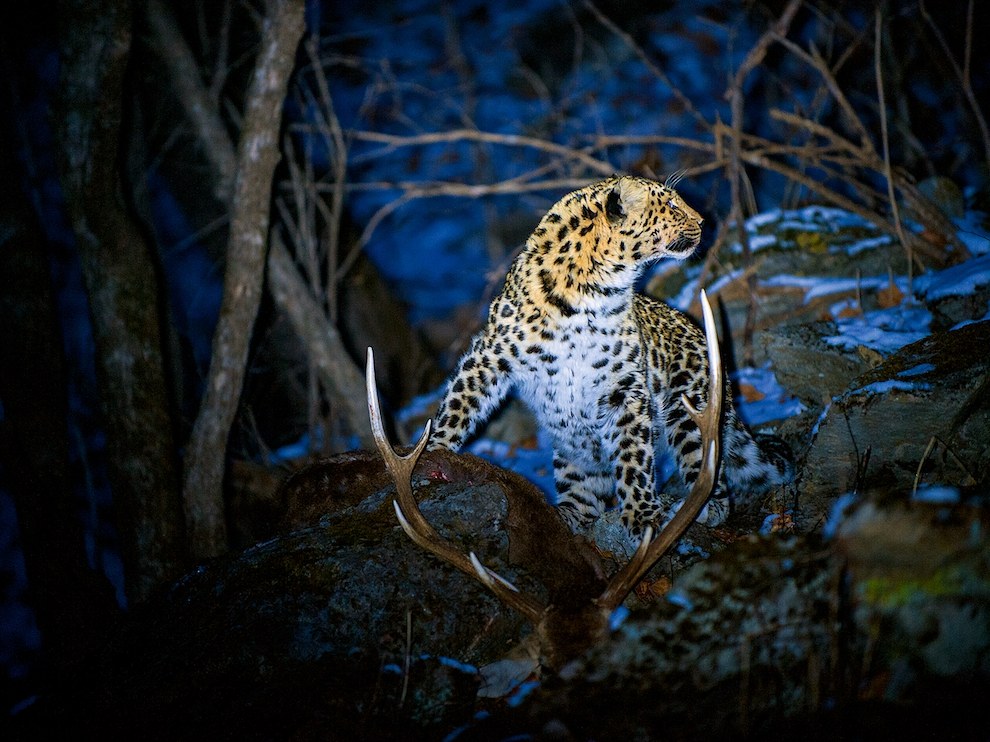 National Geographic: лучшие фотографии декабря National Geographic: лучшие фотографии декабря