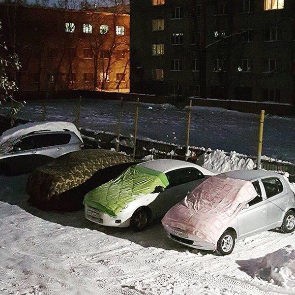Прикольные картинки