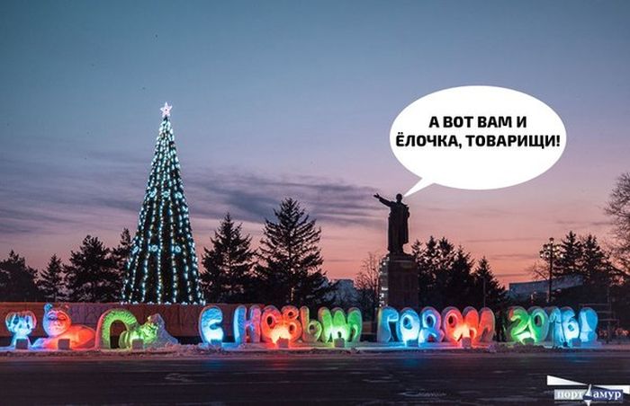 Прикольные картинки