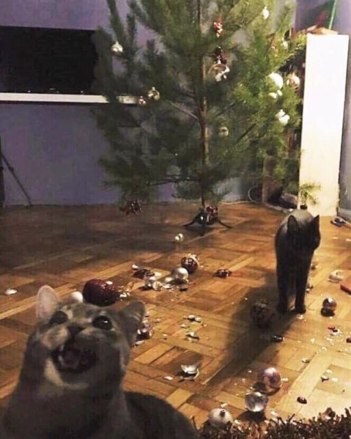 Подборка фейлов