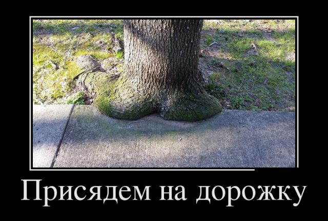 Демотиваторы