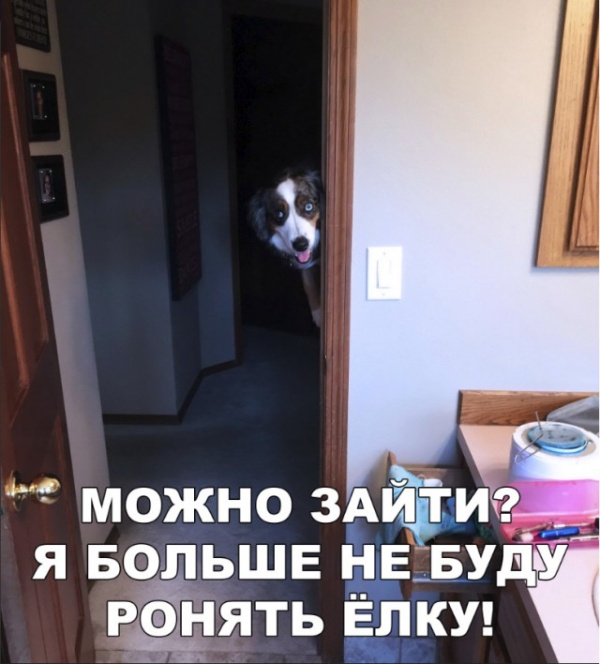Легкий юмор с просторов сети