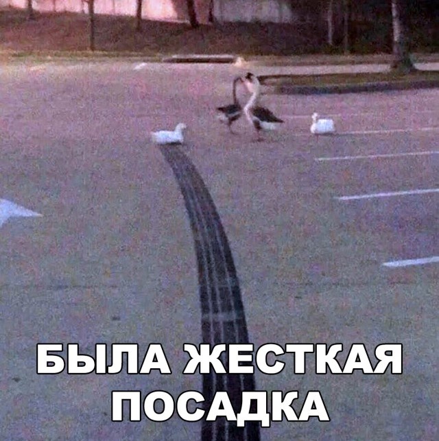 Легкий юмор с просторов сети