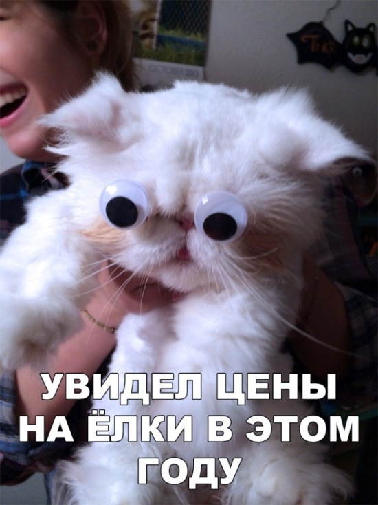 Легкий юмор с просторов сети