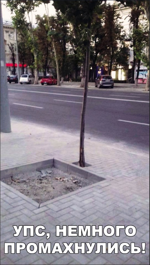 Легкий юмор с просторов сети