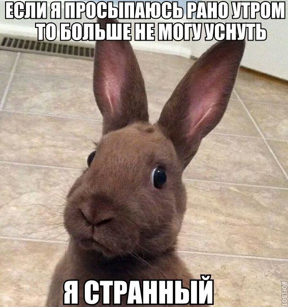 Порция картинок