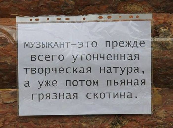 Порция картинок