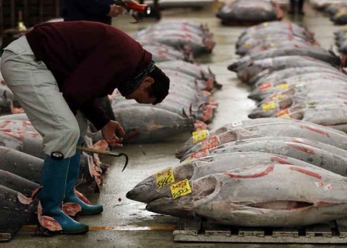 Удивительные и малоизвестные факты о суши Удивительные и малоизвестные факты о суши