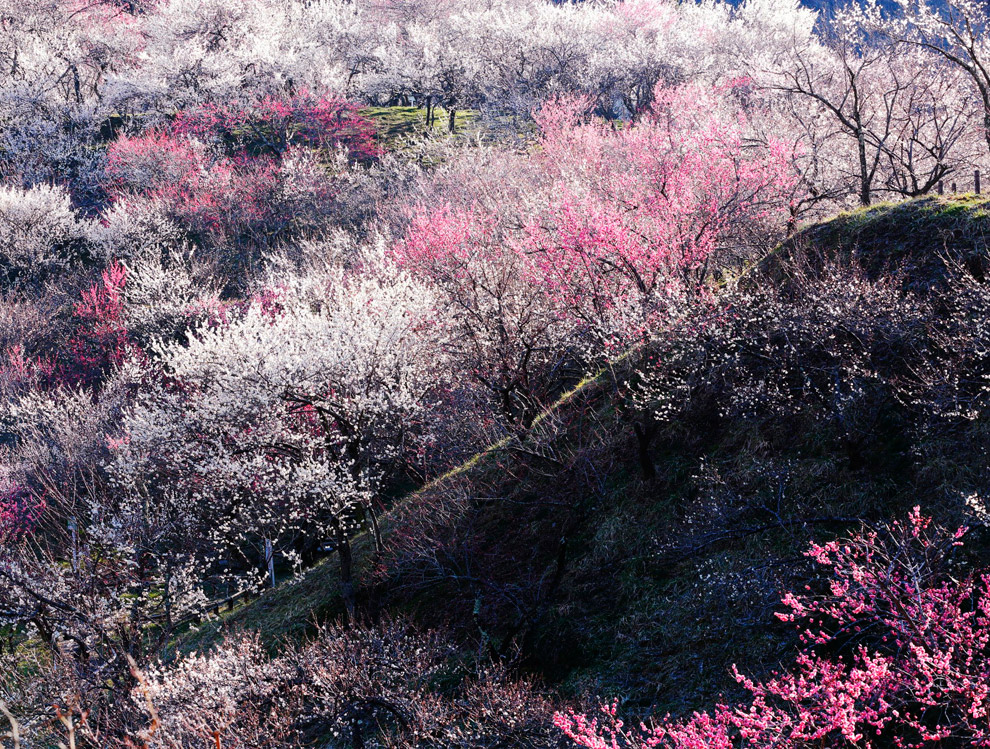 Конкурс фотографий National Geographic Traveler 2014 Конкурс фотографий National Geographic Traveler 2014