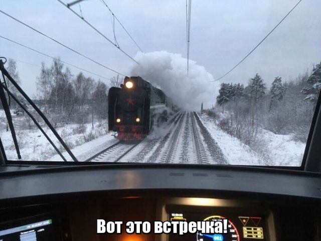 Прикольные картинки
