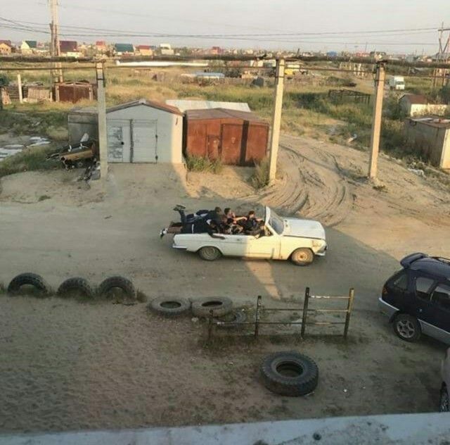 Прикольные картинки