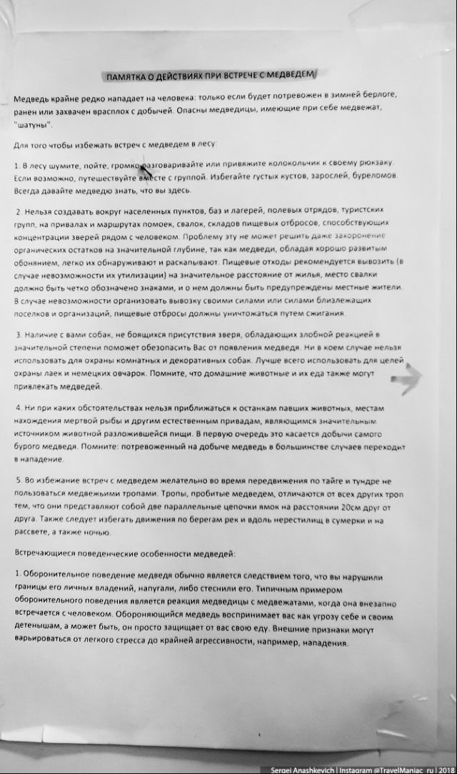 Памятка на случай встречи с медведем