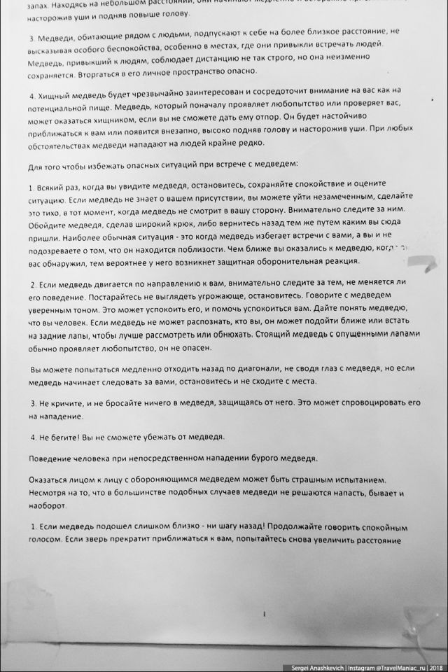 Памятка на случай встречи с медведем