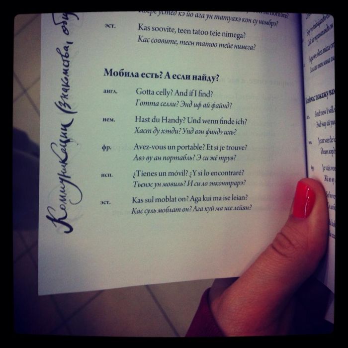 Прикольные картинки