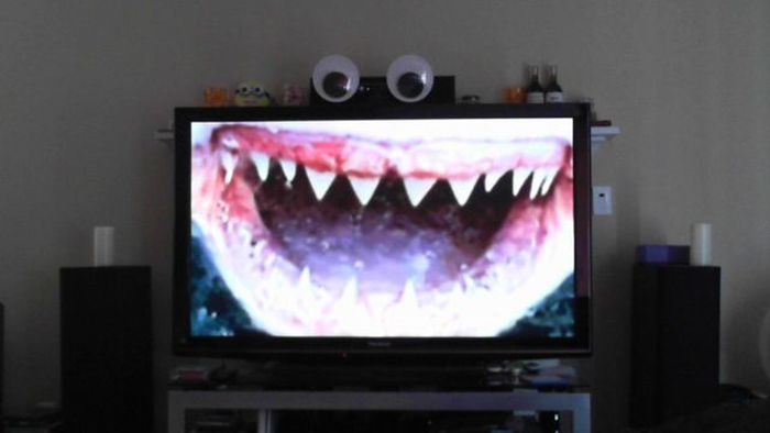 Прикольные картинки