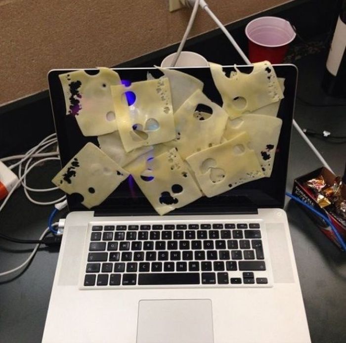 Прикольные картинки