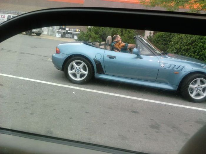 Прикольные картинки