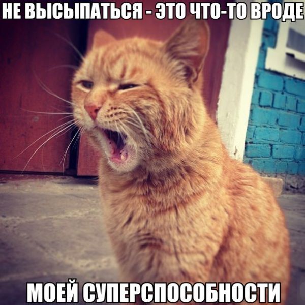 Порция картинок