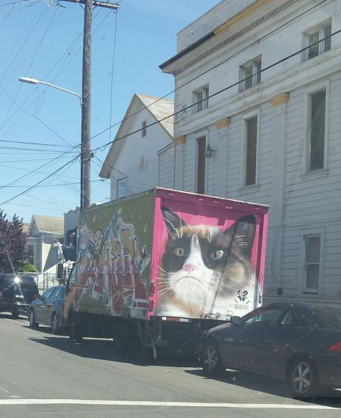 Порция картинок