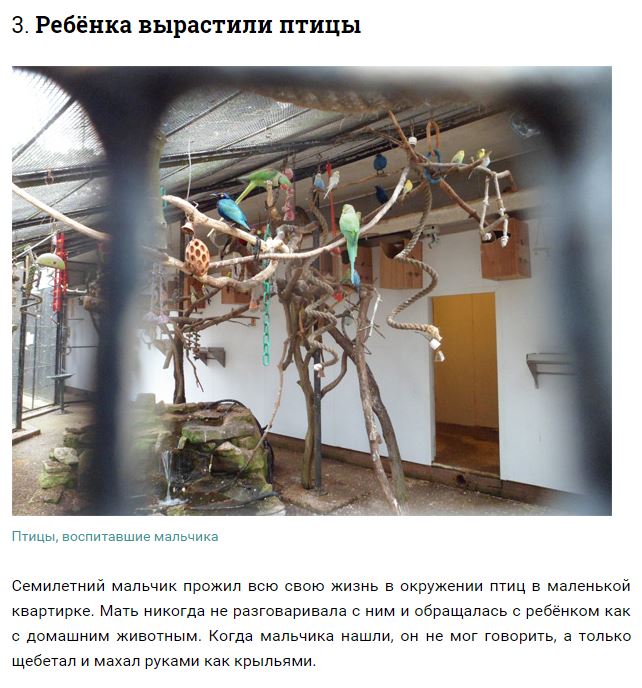 Дети, которых воспитывали животные