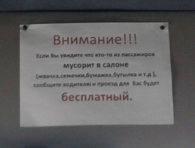 Оригинальные объявления (24 фото)