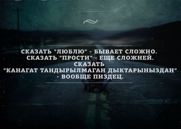 Прикольные картинки (86 фото)