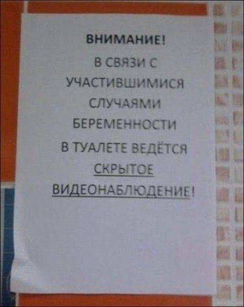 Прикольные картинки (86 фото)