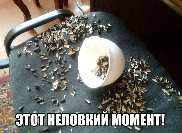 Прикольные картинки (86 фото)