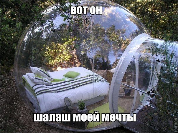 Прикольные картинки (86 фото)