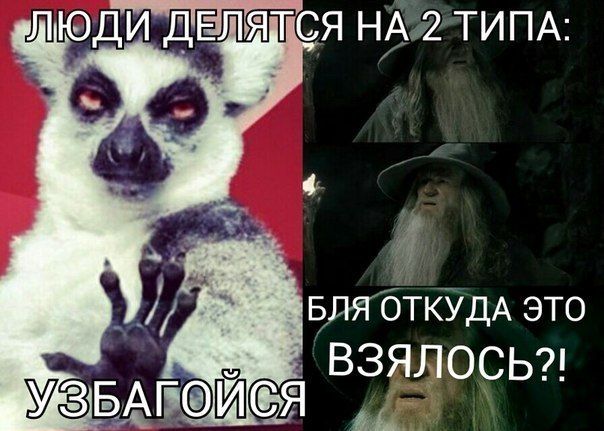 Прикольные картинки (86 фото)