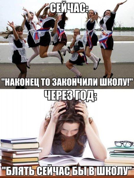 Прикольные картинки (86 фото)