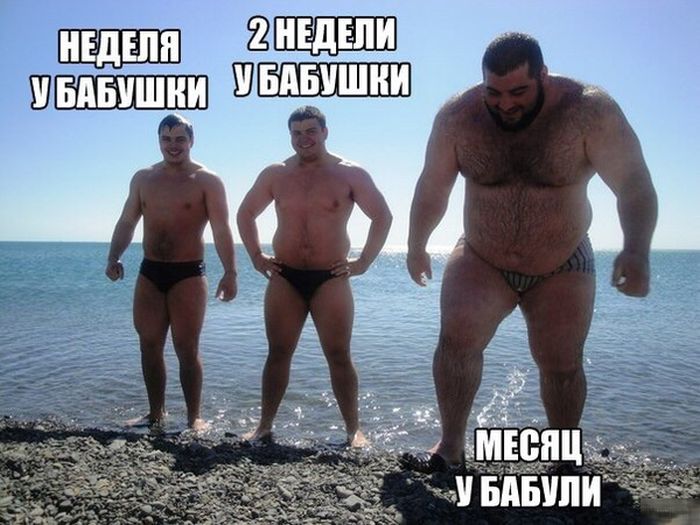 Порция картинок