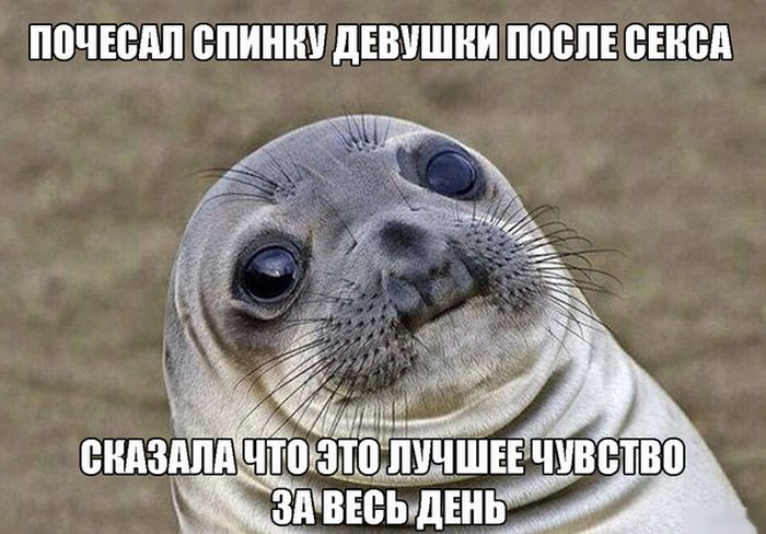 Порция картинок