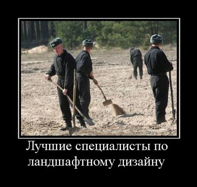 Демотиваторы