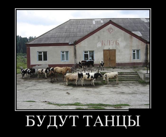 Демотиваторы