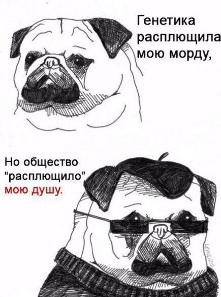 Смешные комиксы