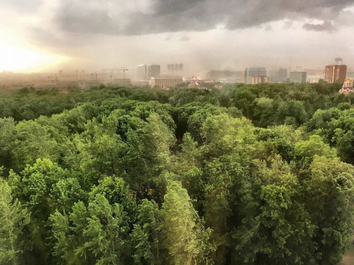 На Москву обрушился ураган