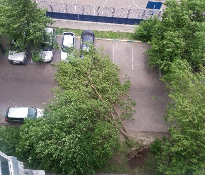 На Москву обрушился ураган