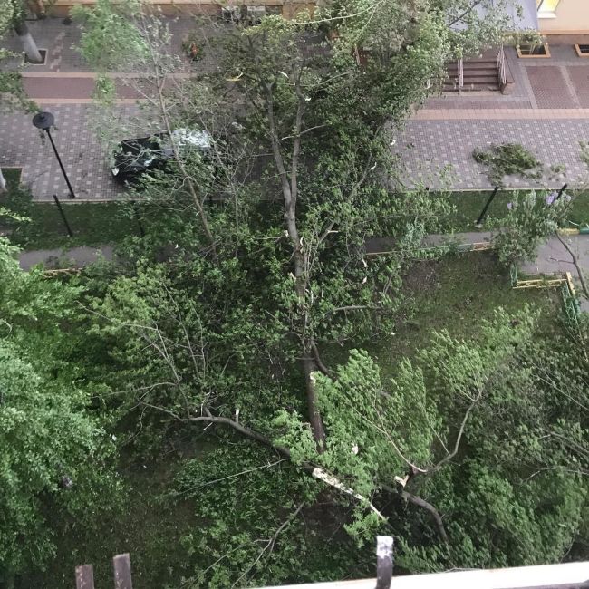 На Москву обрушился ураган