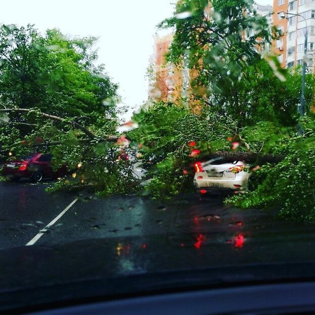 На Москву обрушился ураган