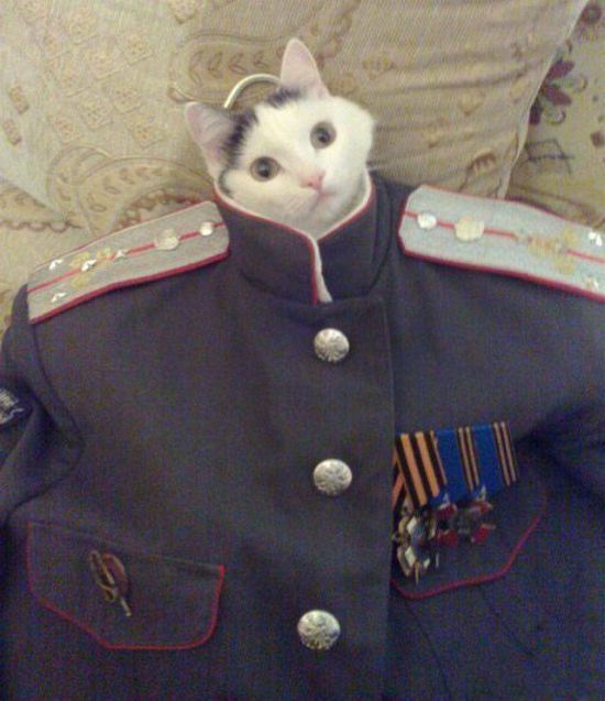 Фото, которые возможно было сделать только в России