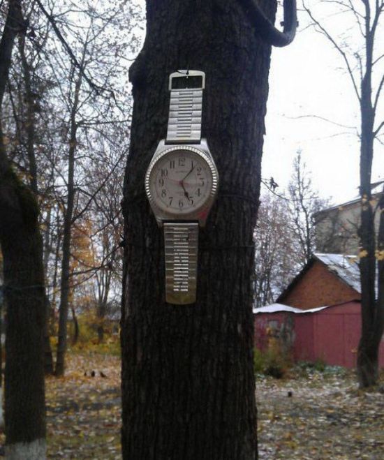 Фото, которые возможно было сделать только в России