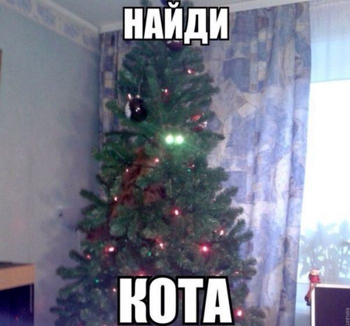 Приколы, которые поднимут вам настроение