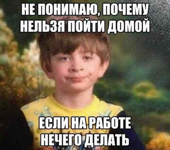 Приколы, которые поднимут вам настроение