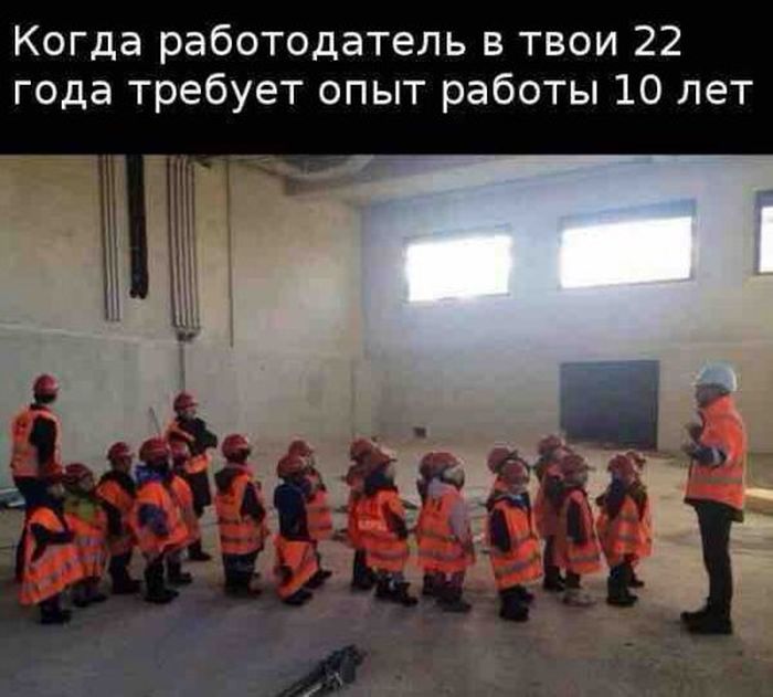 Приколы, которые поднимут вам настроение