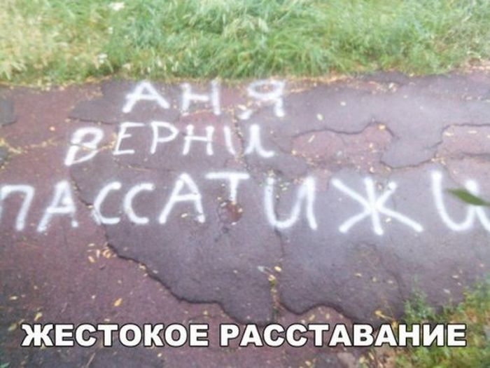 Приколы, которые поднимут вам настроение