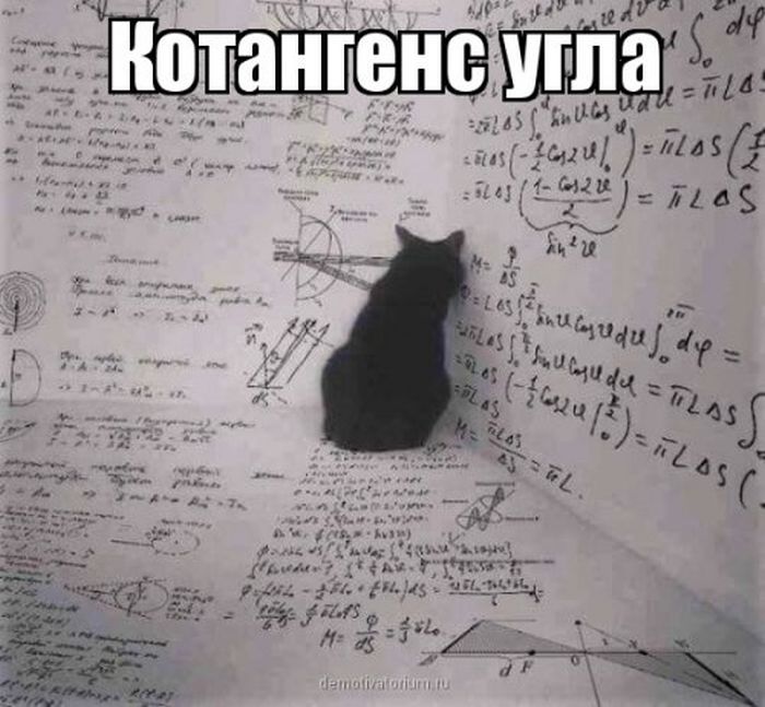 Приколы, которые поднимут вам настроение