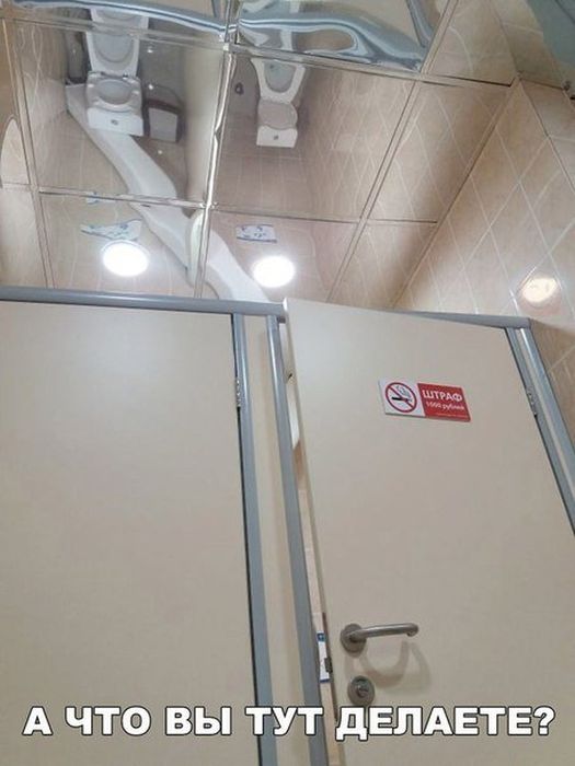 Приколы, которые поднимут вам настроение