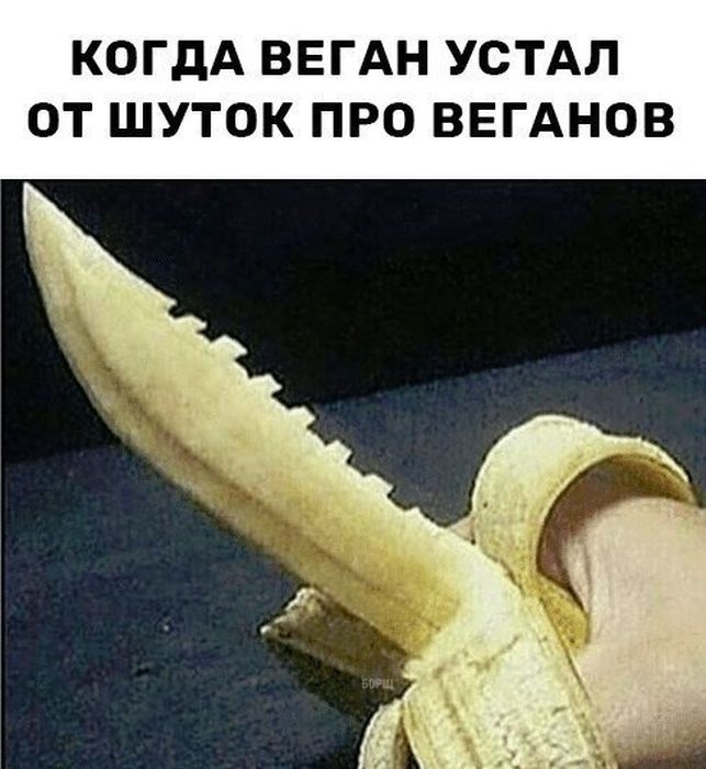 Приколы, которые поднимут вам настроение